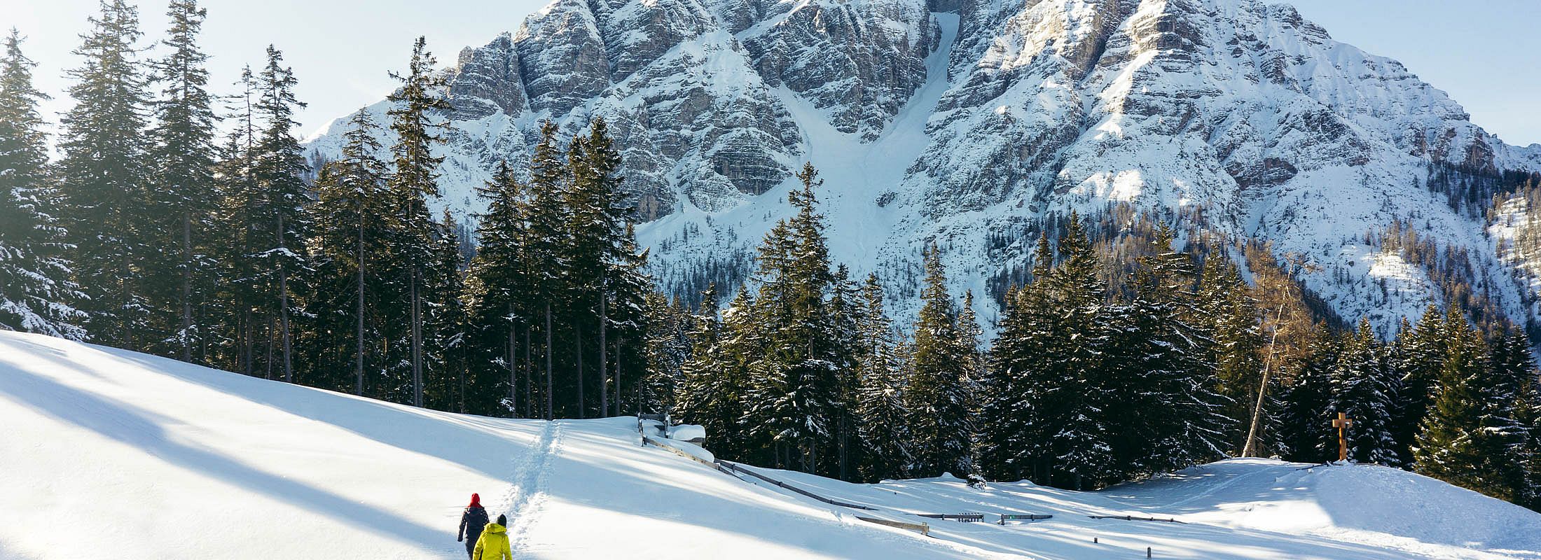Zwei Winterwanderer im Schnee mit Blick auf verschneite Berge und dichte Tannenwälder